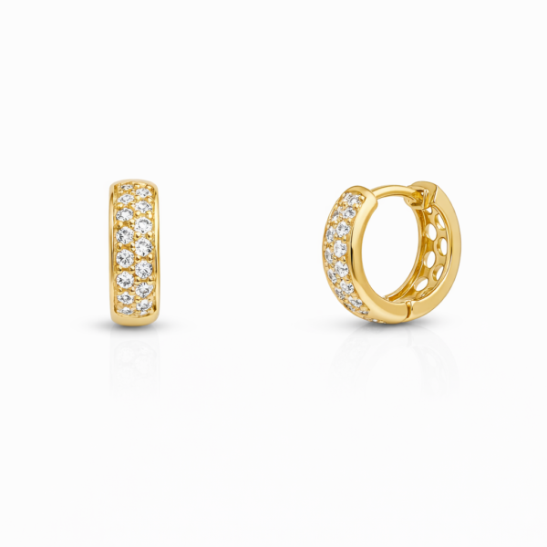 Argola Redonda com Pedras